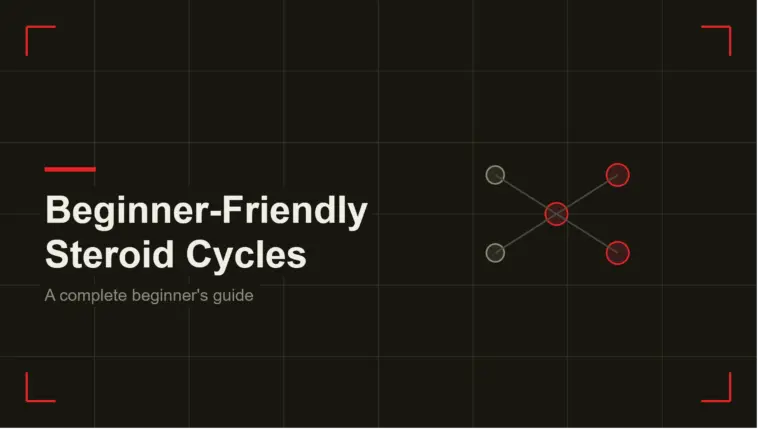 beginner-friendly steroid cycles guide header