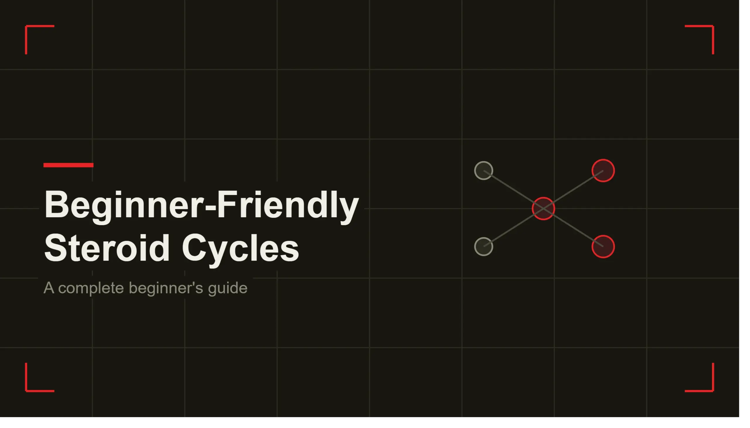 beginner-friendly steroid cycles guide header