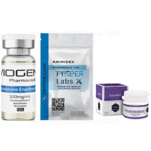 First Bulking Cycle – Beginners Stack